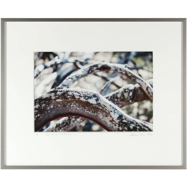 Please allow at least 14 days for printing and framing before a piece is shipped. Entitled "Ligne de vie", this 2012...