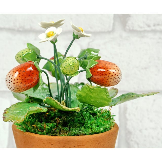 Porcelain Strawberry Plants by Didier Gardillou - Contemporain Period For Sale - Image 9 of 10