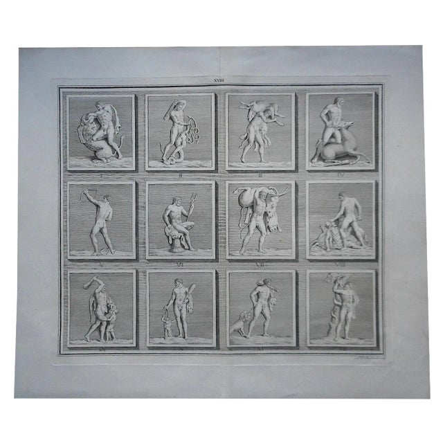 Antique "Hunter & Prey" Folio Engraving For Sale