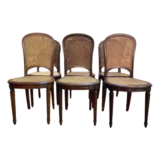 Louis Xvi Style Cane Dining Chairs, Set of 6 For Sale