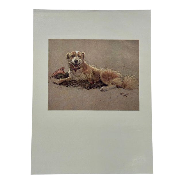 Border Collie Dog by Cecil Aldin, 1928 For Sale