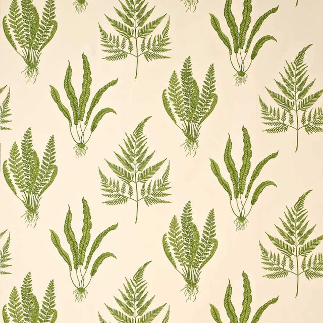 Sanderson Woodland Ferns Fabric in Green For Sale