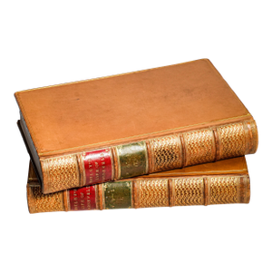 Nice 2 Volume the Life and Death of John Barneveld Advocate of Holland John Motely Full Leather Ornate Antique Books Home Office Decor