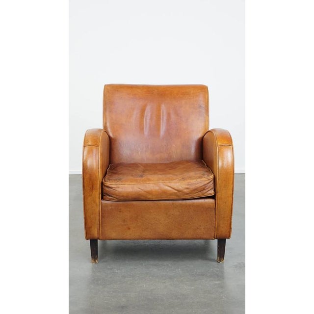 This sleek, characteristic and timeless vintage sheep leather design armchair in beautiful warm cognac colors. This...