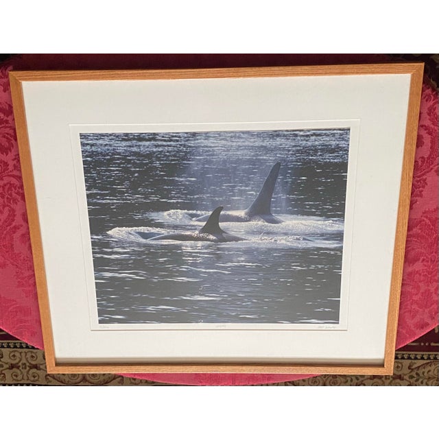 Stunning, highly collectible limited-edition color photographic print titled "Orcas" by legendary American wildlife and...