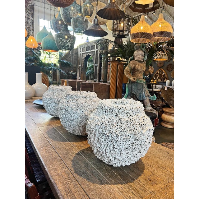 Sculpture Materials Vintage White Barnacle Shell Pot For Sale - Image 7 of 9