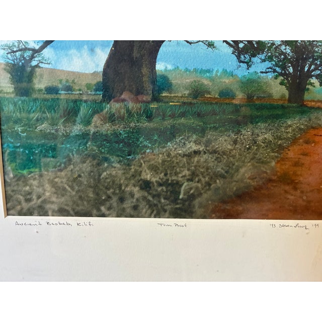 Beautiful, textured piece with a warm, natural subject—works well in living room or office. Photo taken in Africa (1993);...