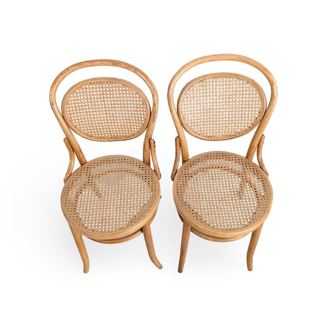 Mundus Bentwood Chairs from J & J Kohn & Mundus, Set of 2 For Sale - Image 6 of 10