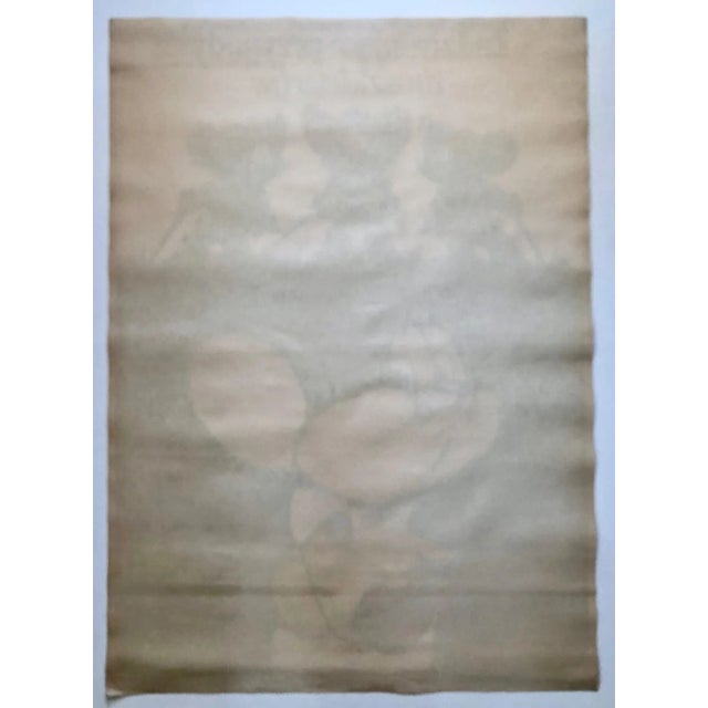 Adventures of the Musketeers of Polish Movie Post by Jakub Erol, 1979, in Very Good conditions. Designed 1970 to 1979