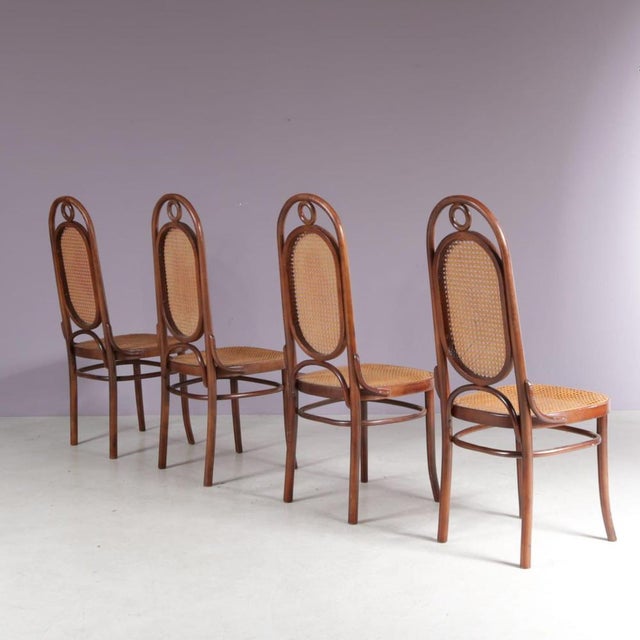 Long John Chairs from FMG, Poland, 1950s, Set of 4 For Sale - Image 5 of 9