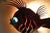 Blue Mid-Century Red Fish with Aquamarine Eye Wall Light, 1950s For Sale - Image 8 of 14