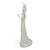 Figurative Lladro #1431 the Debutante Elegant Ladies Spanish Porcelain Figurine For Sale - Image 3 of 11