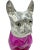 Contemporary Vintage French Bulldog Pink Glass Silverplate Claret Jug Decanter For Sale - Image 3 of 13