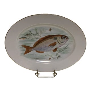 Fish Serving Platter Hand Painted Porcelain by J K W West German 1930's For Sale