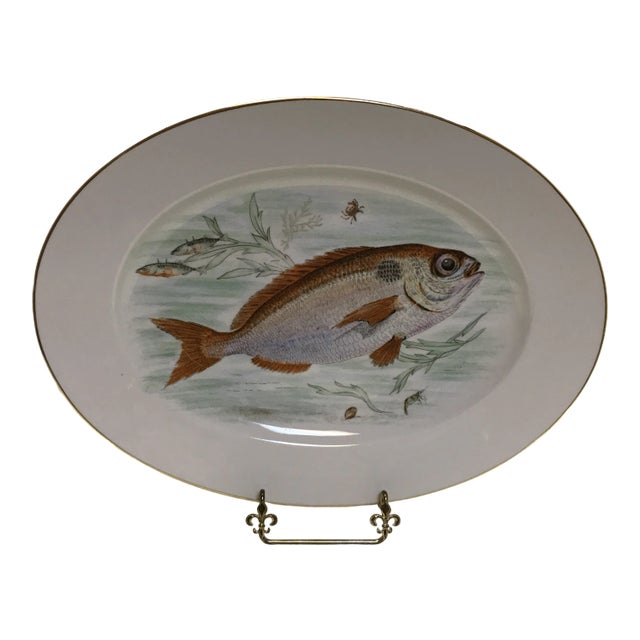 Hand Painted Porcelain Fish Serving Platter by J K W West German 1930's For Sale