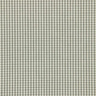 Schumacher Barnet Cotton Check Fabric in Nickel For Sale