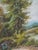 Gold 1980s Pair of Oil on Board Woodland Landscape Paintings - Signed For Sale - Image 8 of 15
