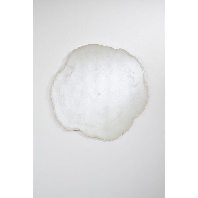 Frosted White Wood Edge Mirror from Deknudt Mirrors For Sale - Image 18 of 18