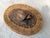 Wood Vintage Indonesian Lombok Woven Rattan Lidded Basket With Wood Carved Turtle For Sale - Image 7 of 18