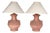 Late 20th Century South American Style Terra Cotta Table Lamps - Pair For Sale