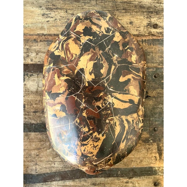 Vintage Italian Scagliola Artisanal Pigmented Plaster Turtle Shell For Sale - Image 11 of 12