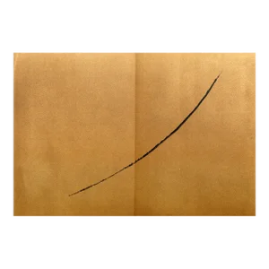 Derriere Le Miroir #167 (#2), François Fiedler Lithograph on Paper