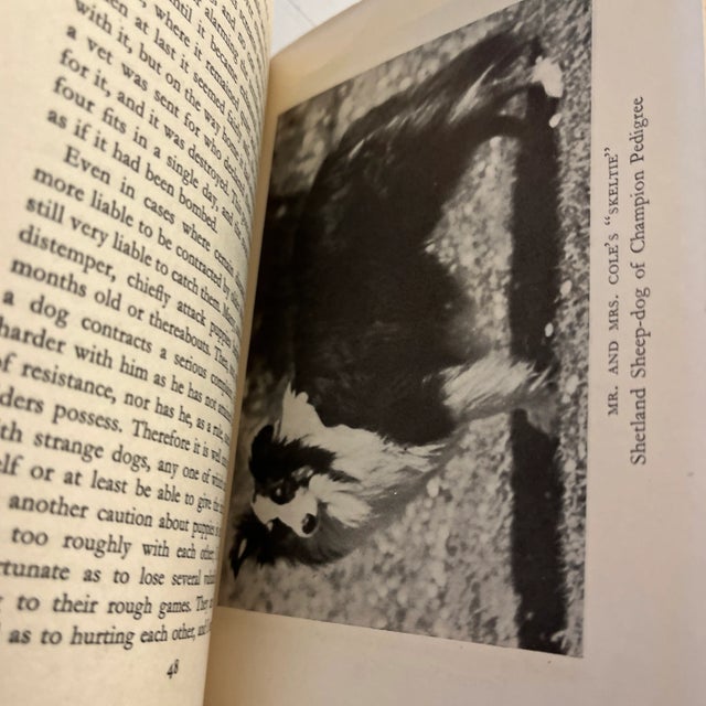 1948 Collies and Sheep Dogs Book For Sale In New York - Image 6 of 9
