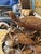 Rustic Late 20th Century Monumental Hand-Carved Solid Wood Marsh Wildlife Sculpture With Original Shipping Crate For Sale - Image 3 of 10