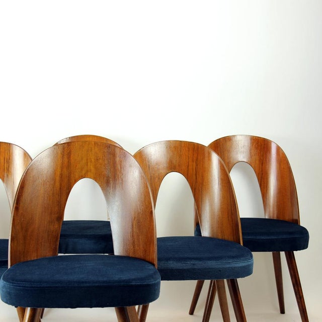 Tatra Chairs in Walnut and Velvet by Šuman, 1960s, Set of 6 For Sale - Image 13 of 18