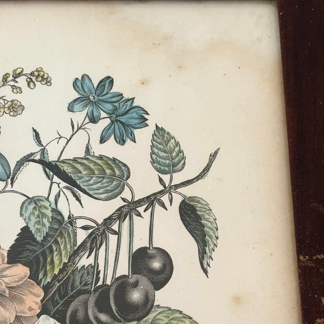 Black Lovely James Baillie Hand-Colored Lithograph Dated 1848 For Sale - Image 8 of 11