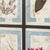 20th Century Italian Large Oak Frame with Pressed Flowers and Herbs For Sale - Image 16 of 18