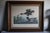 Mid-Century Lithograph of Audubon's "Red Breasted Merganser," in Dark Wood Frame For Sale - Image 11 of 17