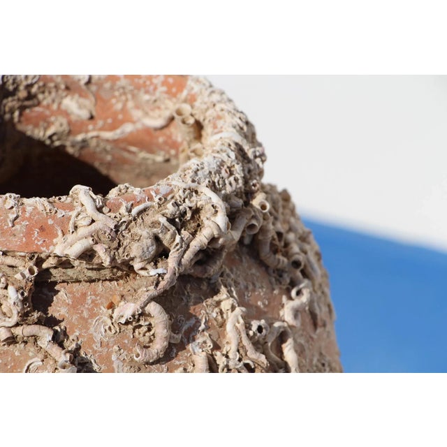 Ceramic 19th Century Antique Terracotta Octopus Trap Undersea Pot For Sale - Image 7 of 13