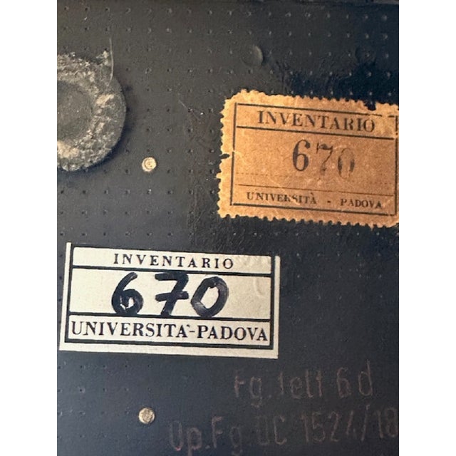 Bakelite Rotary Telephone from Siemens, 1950s For Sale - Image 9 of 11