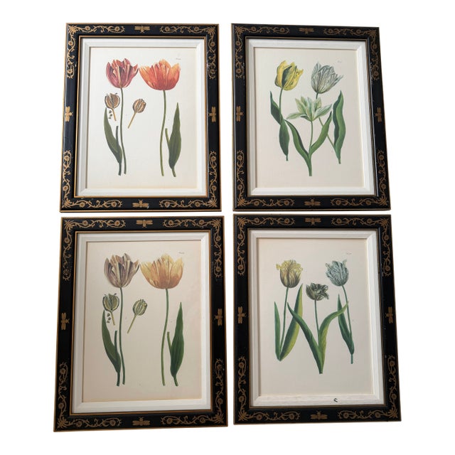 1990s Tulip Mania Set of Four Botanical Lithograph Prints From Scully & Scully in Black/Gold Scroll Frames - Set of 4 For Sale