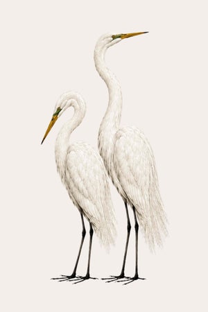Crane Study 2, Neutral Coastal Bird Art Print, 16" X 24"