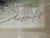 Green Ronald Searle the Beautiful Dream 1975 Limited Edition Color Lithograph Framed For Sale - Image 8 of 10