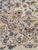 Vintage Persian Kashan Ivory Floral Wool Area Rug – Circa 1970s – 10’6” X 13’9” For Sale In Los Angeles - Image 6 of 8