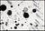 Abstract 1980s SF-260, Sam Francis For Sale - Image 3 of 5