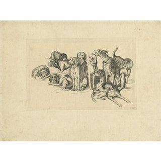 After Wenceslaus Hollar, Eleven Hounds Reversed, 1646, Etching on Paper For Sale