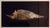 The School of Paris Brenda Zlamany, Birds, Cibachrome Photograph Print, Signed Conceptual Art For Sale - Image 3 of 4