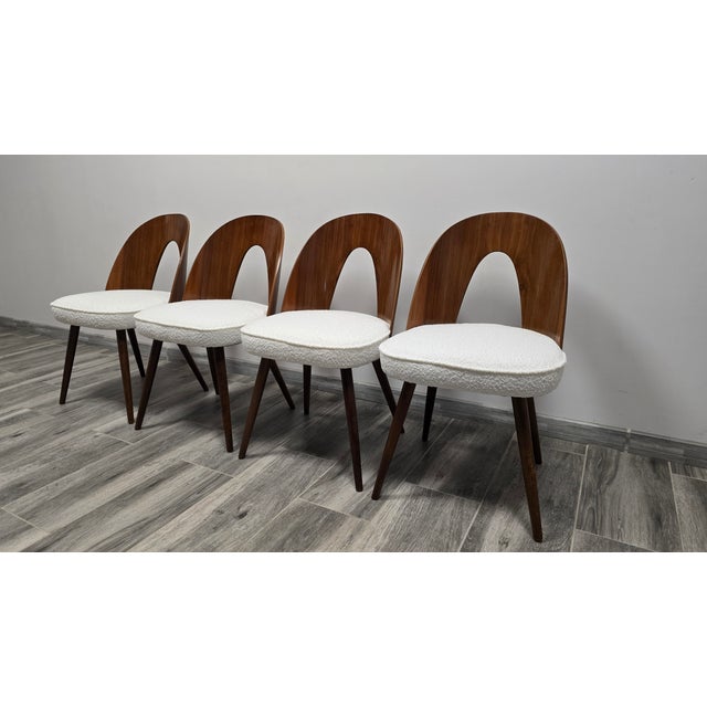 Dining Chairs from Antonin Suman, 1960s, Set of 4 For Sale - Image 10 of 10