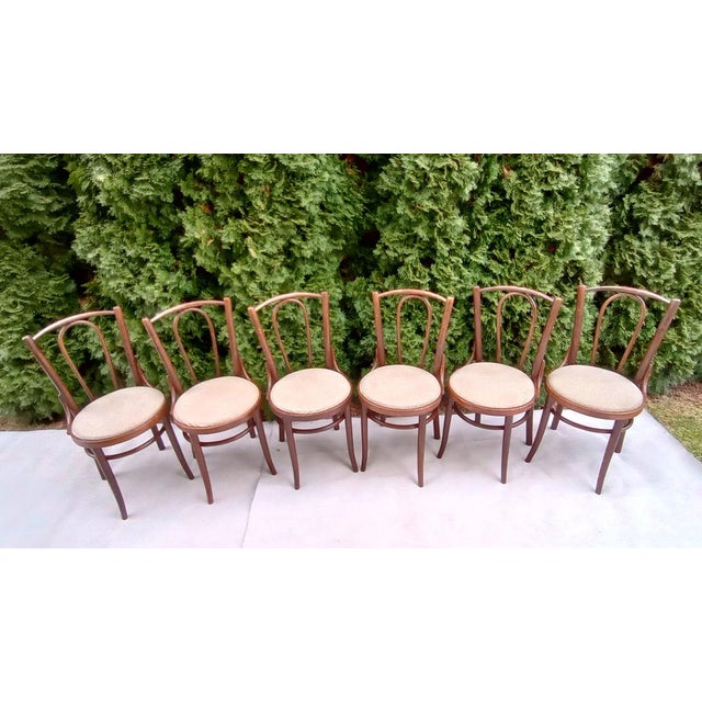Nice and stylish dining chairs made of bent beech wood. They probably require minor cosmetic adjustments from a restorer -...