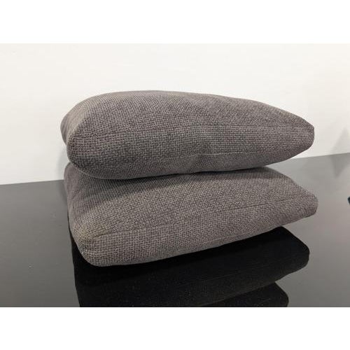 Charles Brown Cushions from B&B Italia, Set of 2 For Sale - Image 10 of 10
