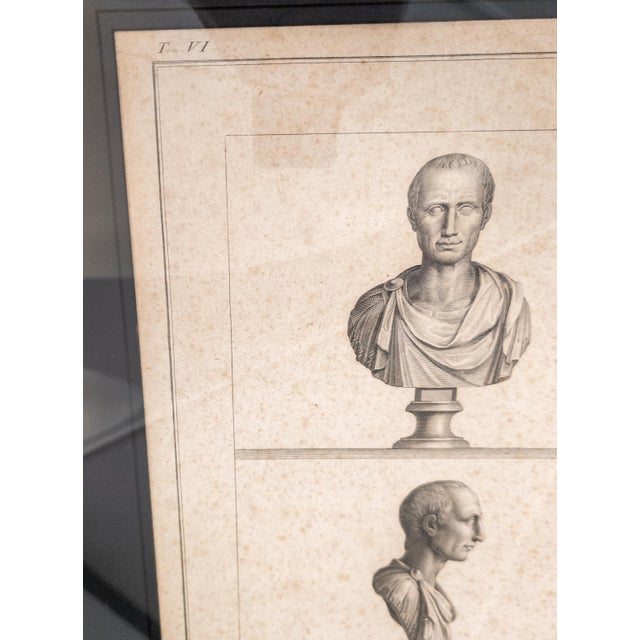 18th Century Italian Neo-Classical Engraving Print of Julius Caesar Bust by Giovanni Folo For Sale - Image 14 of 18