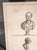 18th Century Italian Neo-Classical Engraving Print of Julius Caesar Bust by Giovanni Folo For Sale - Image 14 of 18