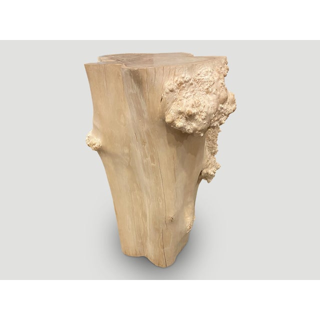 Impressive bleached teak wood pedestal. Featuring the root of the tree with stunning natural markings that resemble...