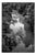 Paul Cooklin, Saint-Loup-Du-Gast IV, Edition of 50 For Sale