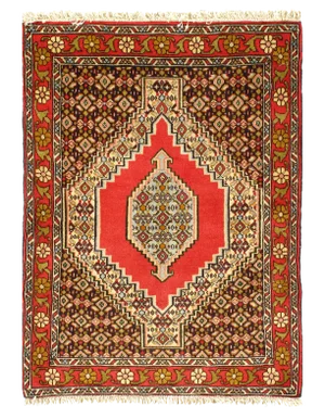 Pasargad Persian Senneh Rug-2'4" X 3'3"