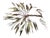 Tree Sculpture from Daniel dHaeseleer For Sale